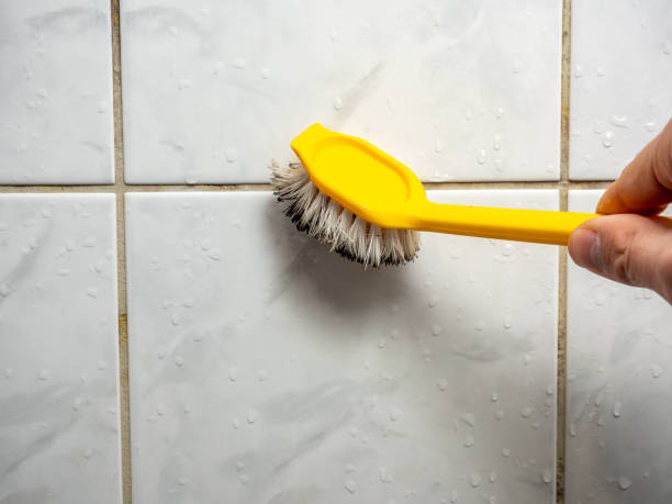 Best Local Mold Removal Service  in Rutledge, GA