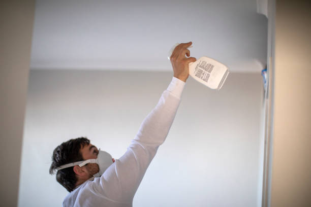 Best Professional Mold Removal  in Rutledge, GA