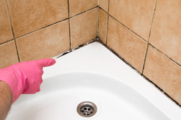 Best Mold Remediation Experts  in Rutledge, GA